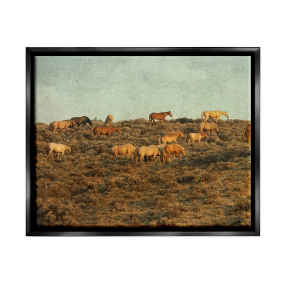 Stupell Industries Rural Horses Grazing Photograph Jet Black Floating Framed Canvas Print Wall Art, Design by Jan Walters