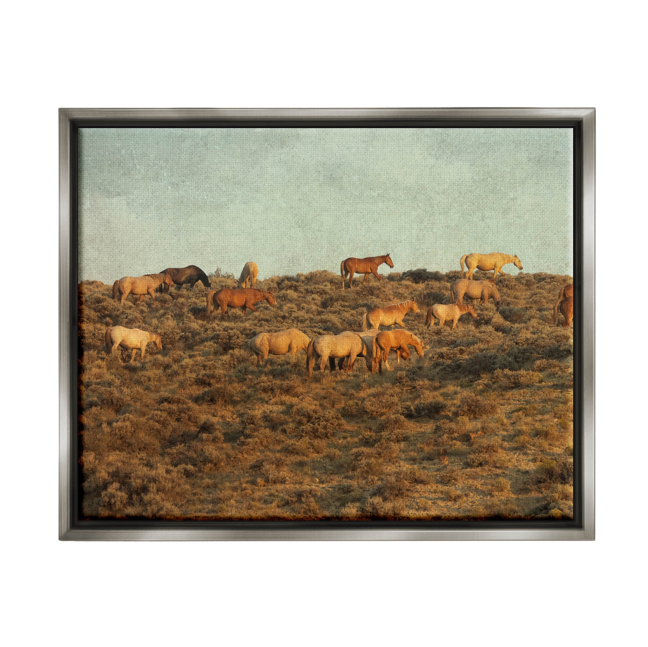Stupell Industries Rural Horses Grazing Photograph Luster Gray Floating Framed Canvas Print Wall Art, Design by Jan Walters