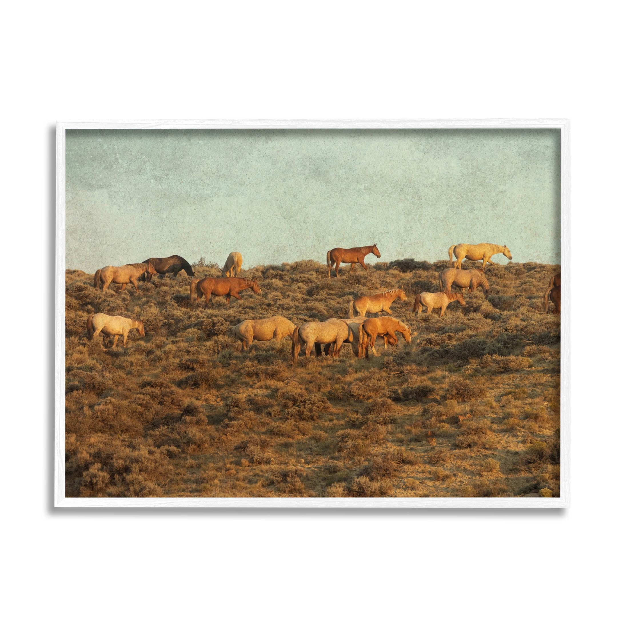 Stupell Industries Rural Horses Grazing Photograph White Framed Art Print Wall Art, Design by Jan Walters