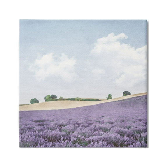 Stupell Industries Rural Lavender Farm Nature Painting Gallery Wrapped Canvas Print Wall Art, 30 x 30