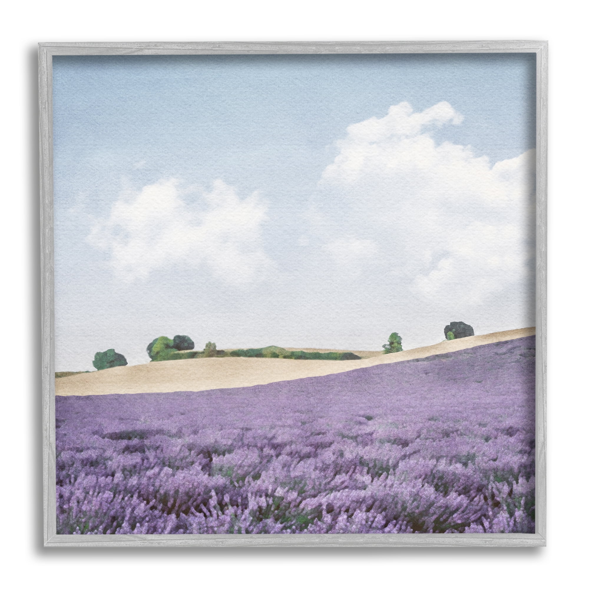 Stupell Industries Rural Lavender Farm Nature Painting Gray Framed Art Print Wall Art, 17 x 17