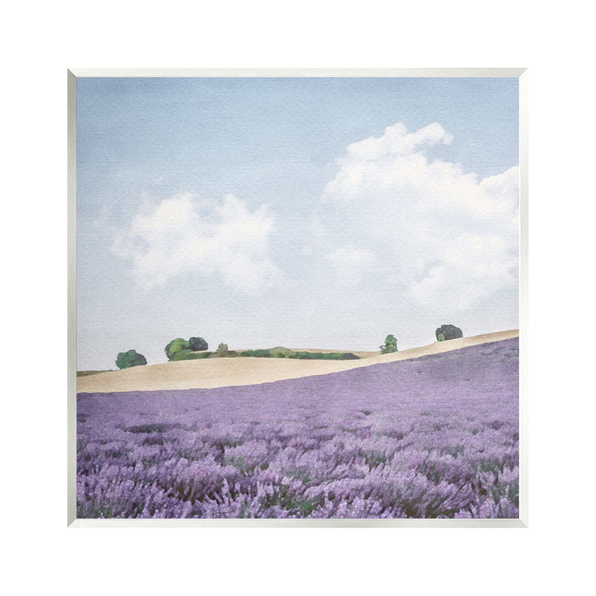 Stupell Industries Rural Lavender Farm Nature Painting Unframed Art Print Wall Art, 12 x 12