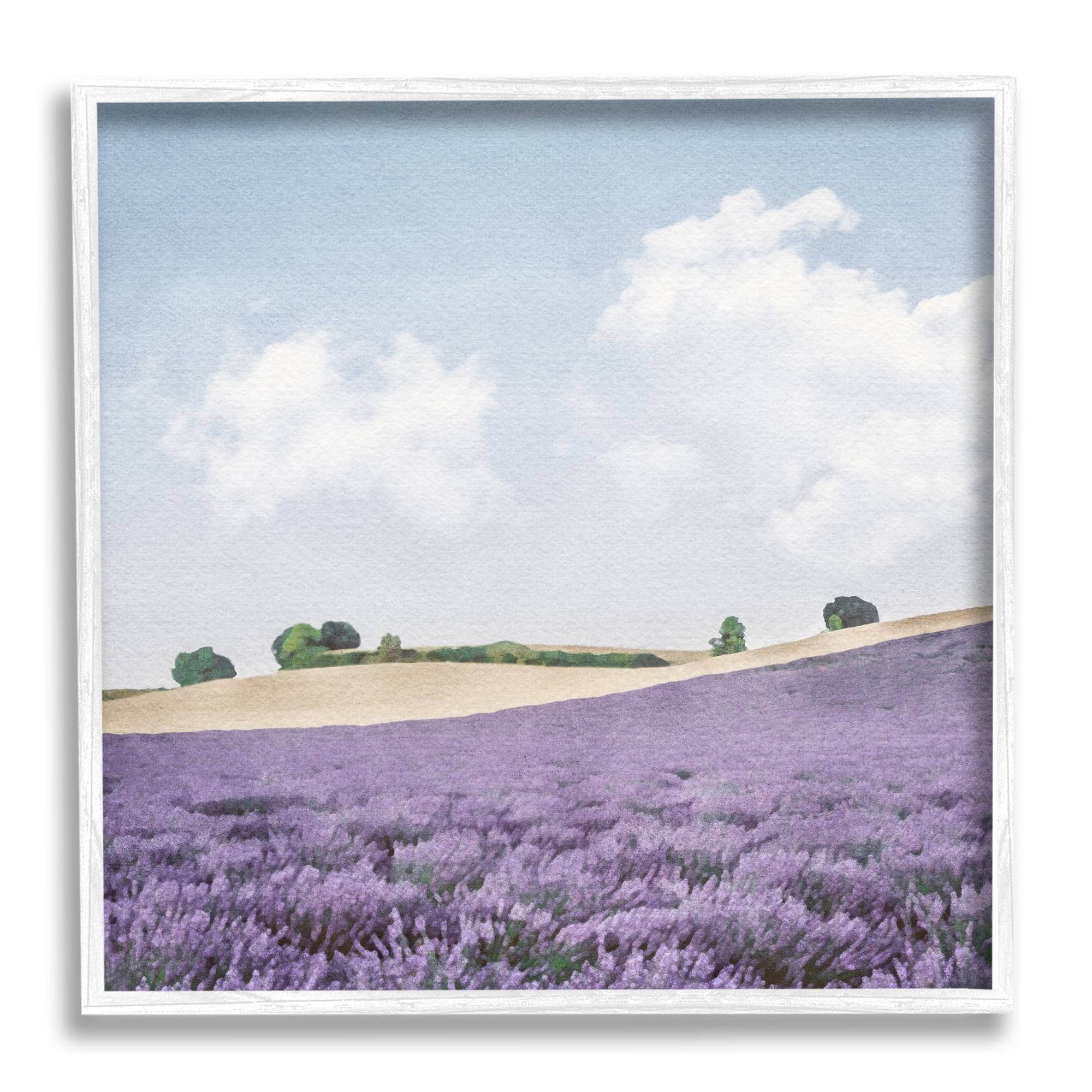 Stupell Industries Rural Lavender Farm Nature Painting White Framed Art Print Wall Art, 24 x 24