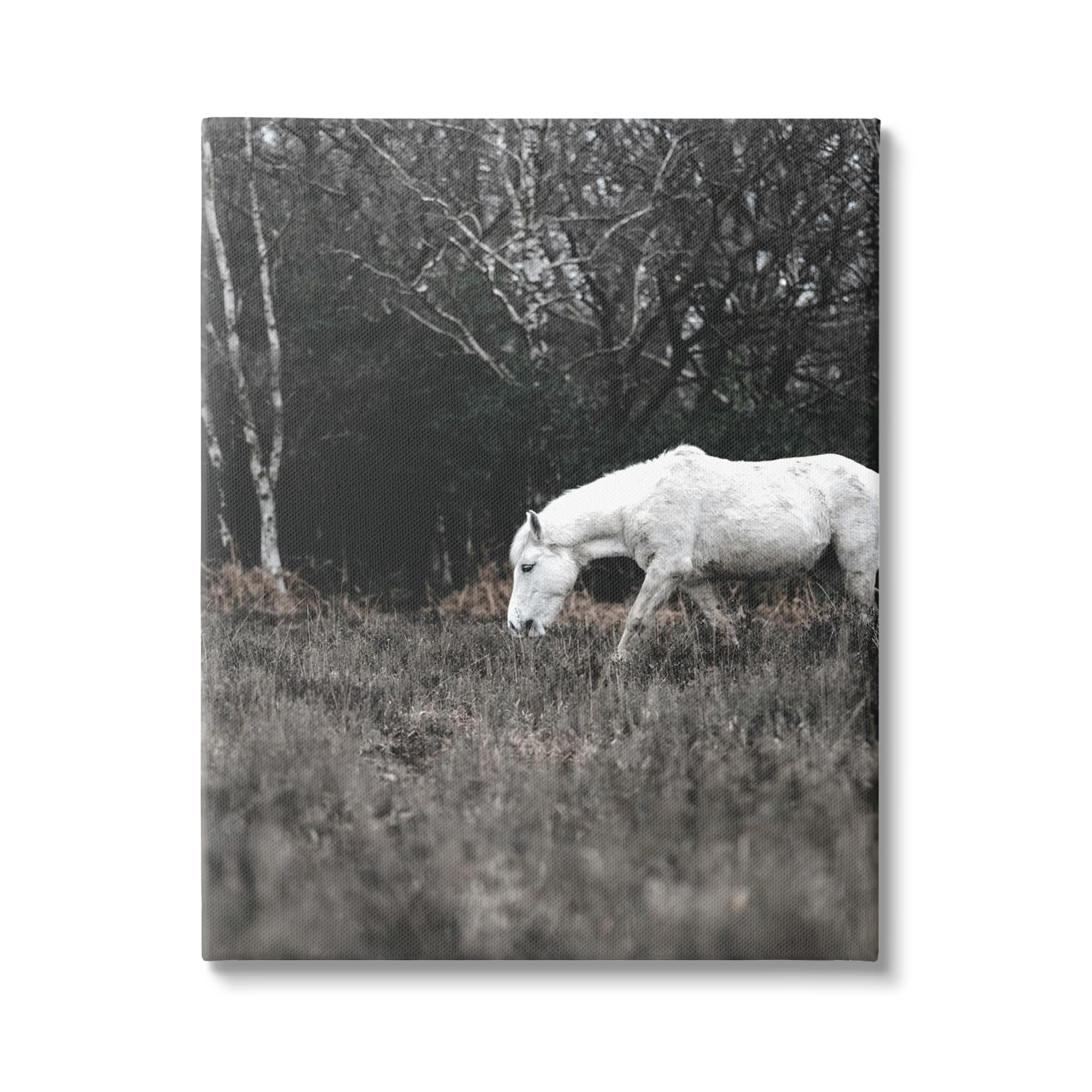 Stupell Industries Rural Monochrome Meadow Trees White Horse Grazing Canvas Wall Art, 30 x 40, Design by Amy Brinkman