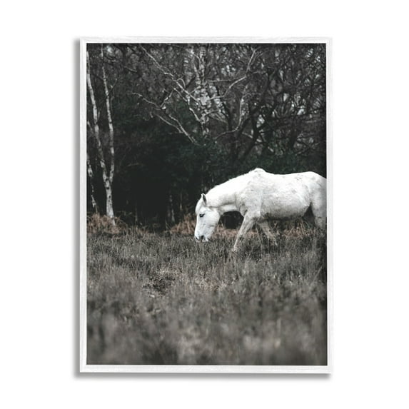 Stupell Industries Rural Monochrome Meadow Trees White Horse Grazing Framed Wall Art, 11 x 14, Design by Amy Brinkman