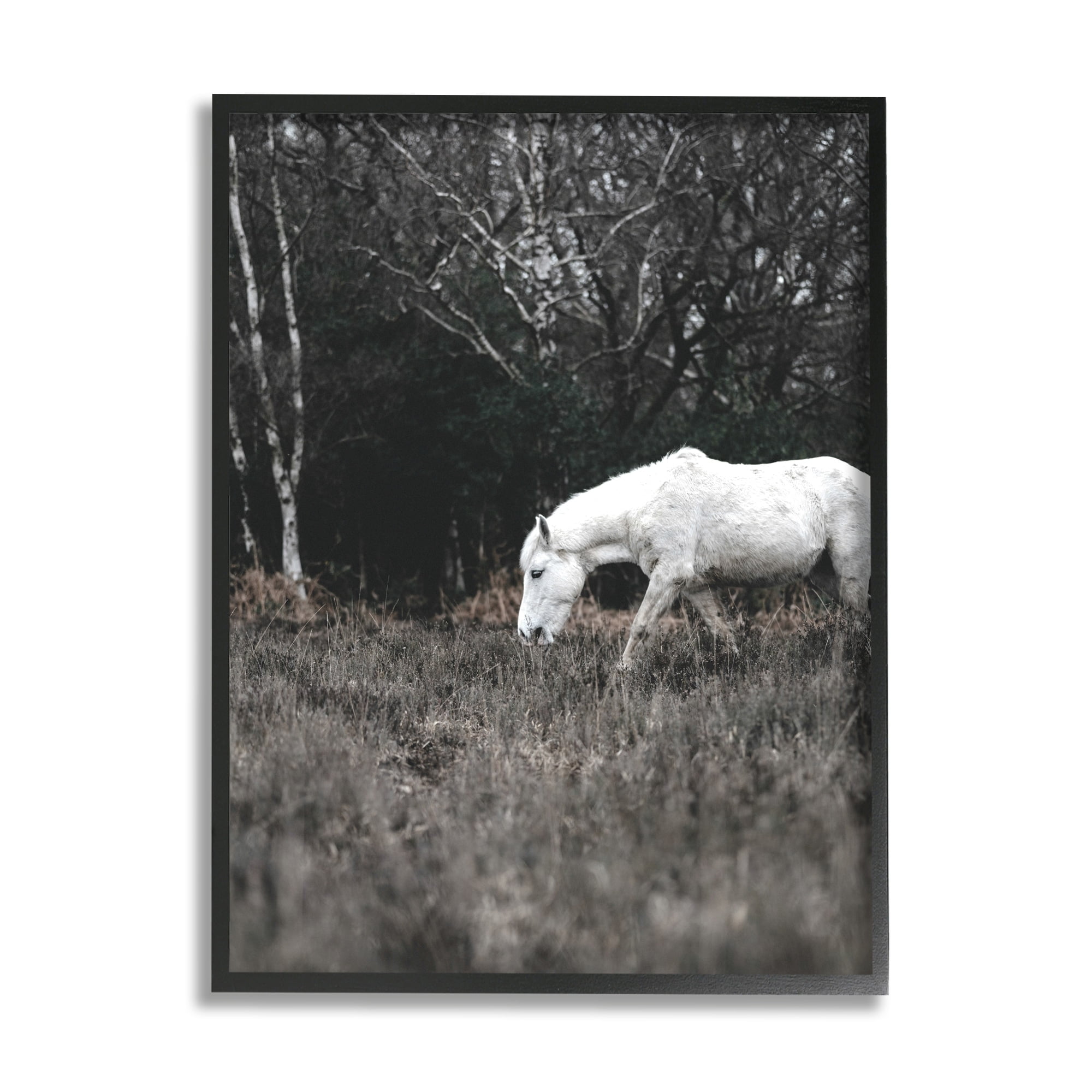 Stupell Industries Rural Monochrome Meadow Trees White Horse Grazing Framed Wall Art, 11 x 14, Design by Amy Brinkman