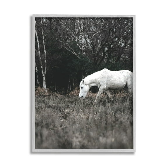 Stupell Industries Rural Monochrome Meadow Trees White Horse Grazing Framed Wall Art, 16 x 20, Design by Amy Brinkman