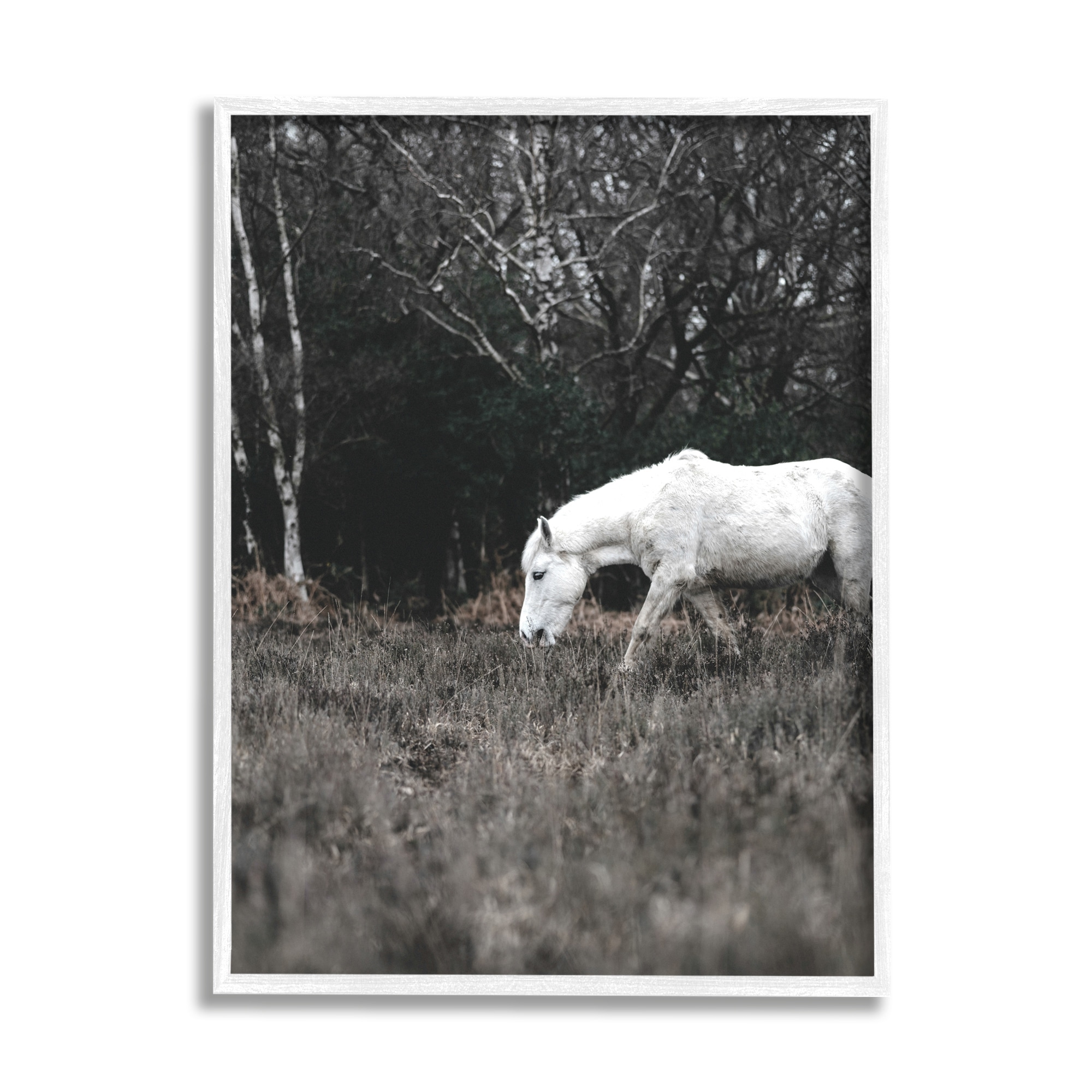Stupell Industries Rural Monochrome Meadow Trees White Horse Grazing Framed Wall Art, 24 x 30, Design by Amy Brinkman