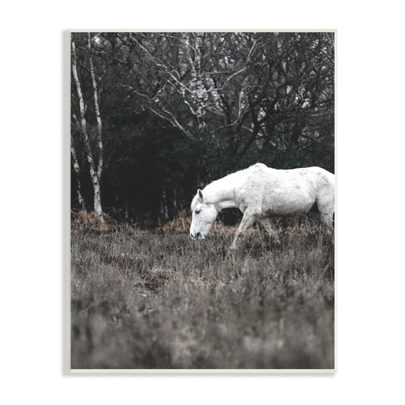 Stupell Industries Rural Monochrome Meadow Trees White Horse Grazing Wood Wall Art, 10 x 15, Design by Amy Brinkman