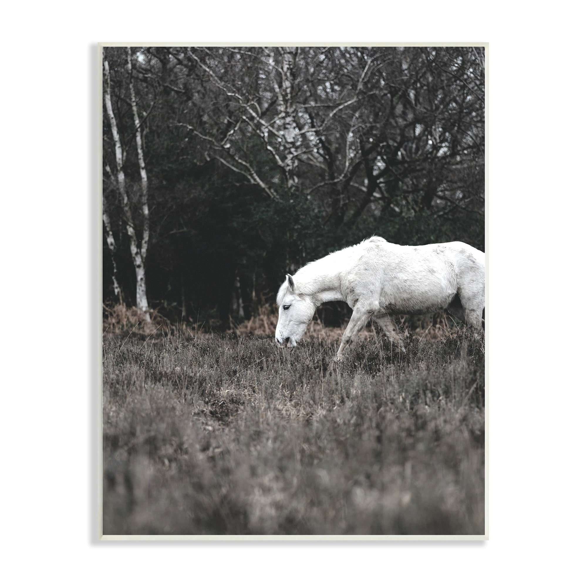 Stupell Industries Rural Monochrome Meadow Trees White Horse Grazing Wood Wall Art, 13 x 19, Design by Amy Brinkman