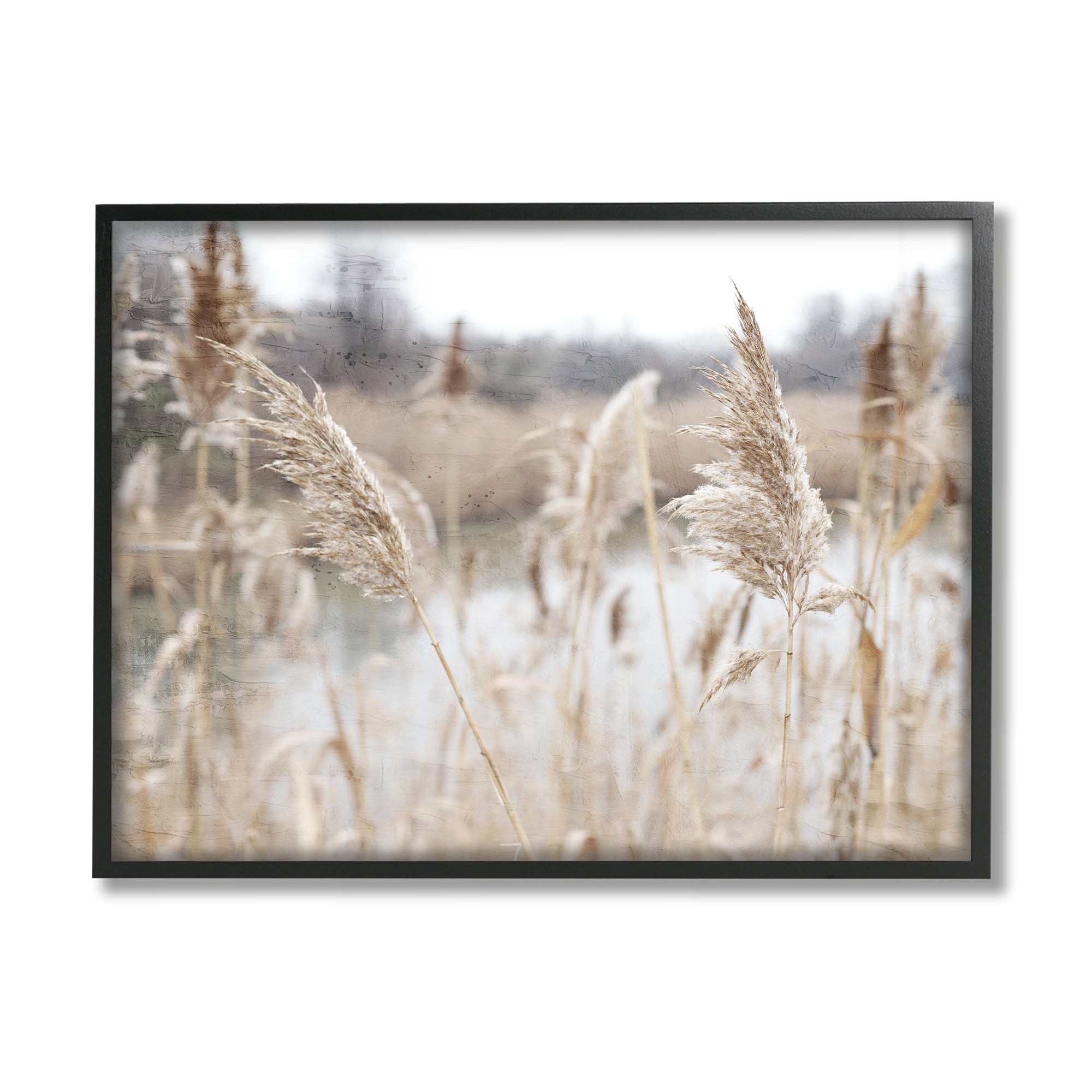 Rural Pampas Grass Reeds Landscape Black Framed Canvas Print