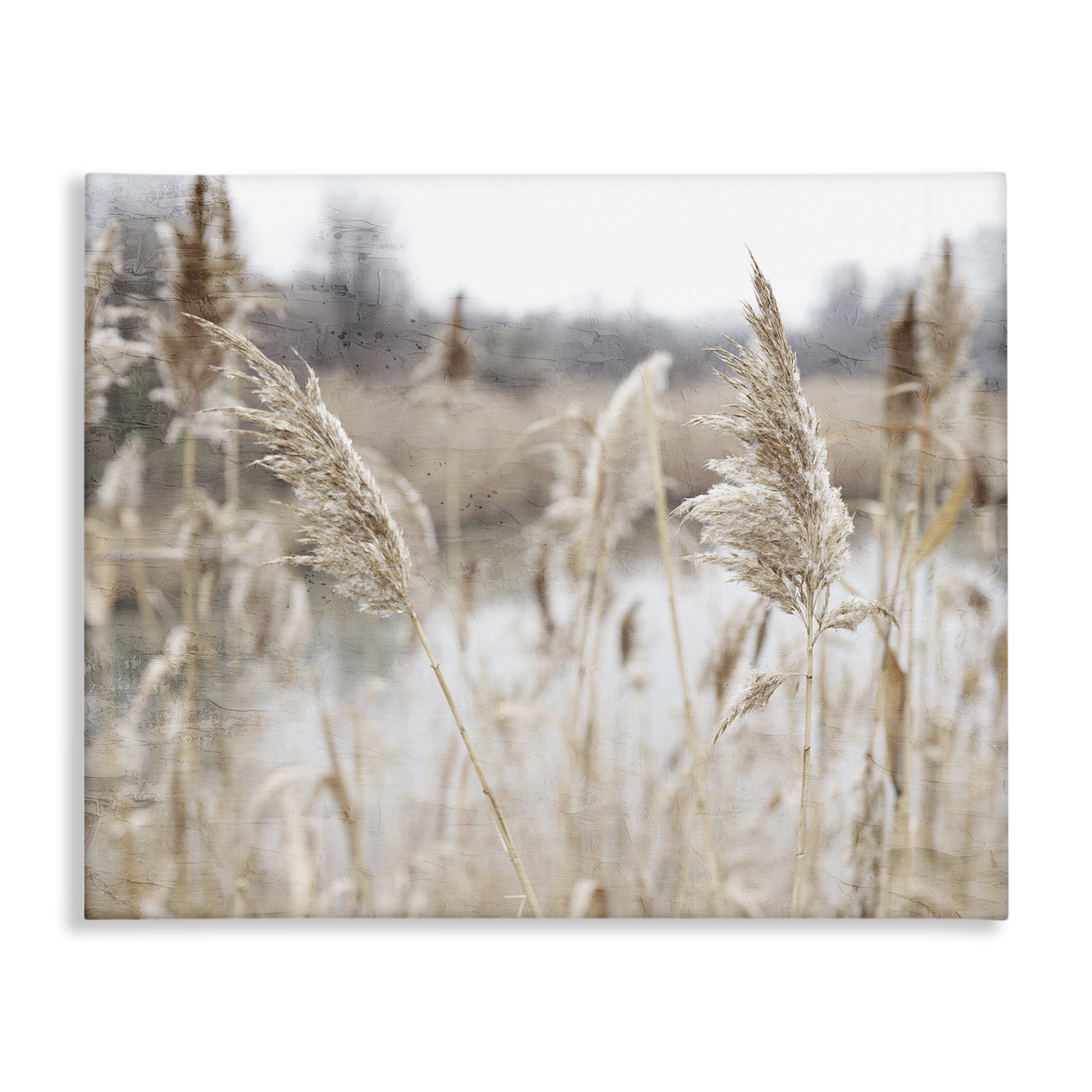 Rural Pampas Grass Reeds Lakeside Pond Marsh Canvas Art, 48 x 36, Design By Artist Kim Allen