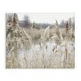 thumbnail image 1 of Rural Pampas Grass Reeds Lakeside Pond Marsh Canvas Art, 20 x 16, Design By Artist Kim Allen, 1 of 6