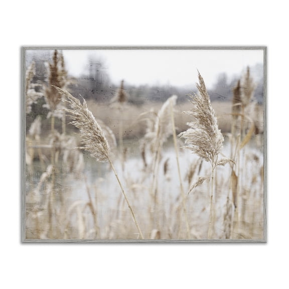 Rural Pampas Grass Reeds Lakeside Pond Marsh Gray Framed Giclee Art, 30 x 24