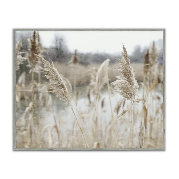 Rural Pampas Grass Reeds Lakeside Pond Marsh Gray Framed Giclee Art, 30 x 24, Made In USA