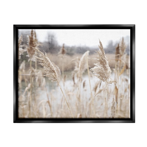 Rural Pampas Grass Reeds Lakeside Pond Marsh Black Floating Frame Canvas Art, 31 x 25