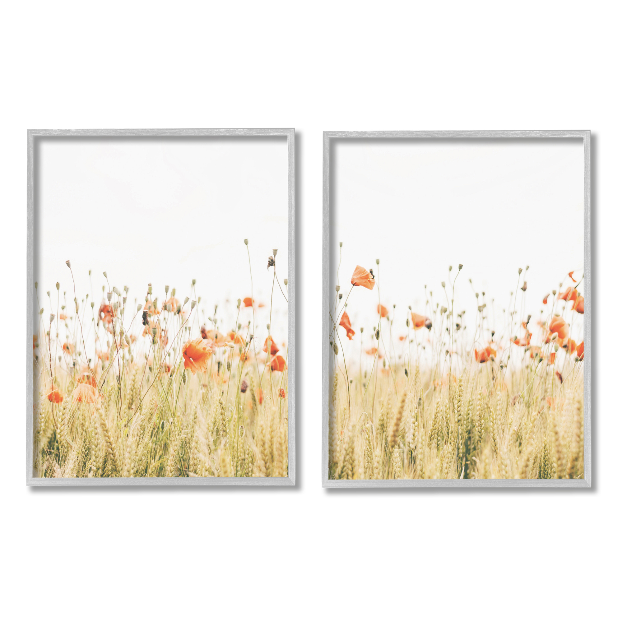 Stupell Industries Rural Poppy Field Landscape Photography Gray Framed Art Print Wall Art, 24 x 30