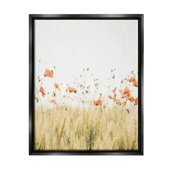 Stupell Industries Rural Poppy Meadow Botanical & Floral Photography Black Floater Framed Canvas Art Print Wall Art, 17 x 21