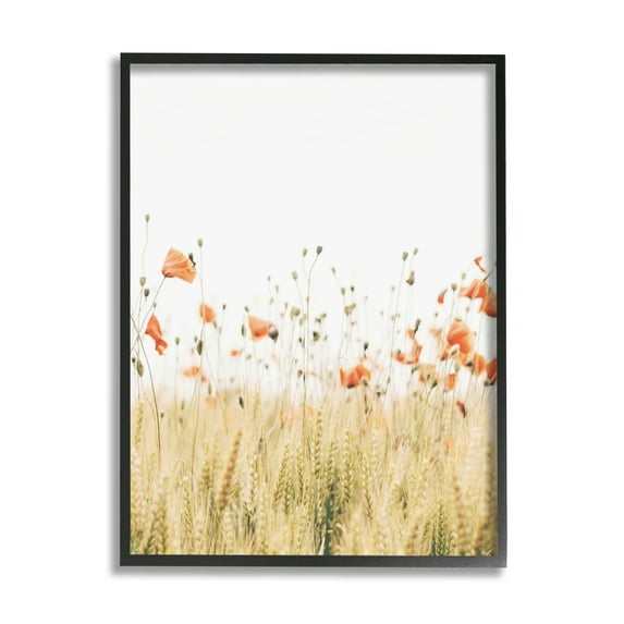Stupell Industries Rural Poppy Meadow Botanical & Floral Photography Black Framed Art Print Wall Art, 16 x 20