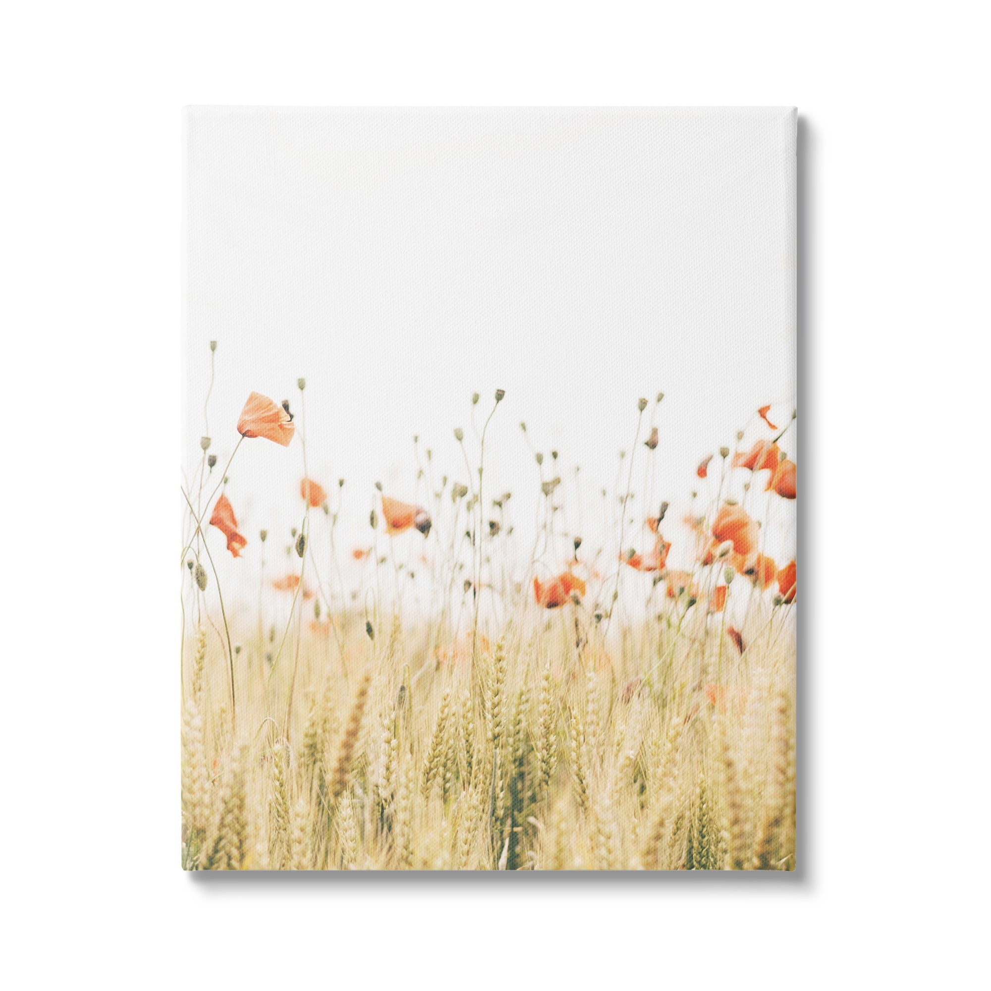 Stupell Industries Rural Poppy Meadow Botanical & Floral Photography Gallery Wrapped Canvas Art Print Wall Art, 36 x 48