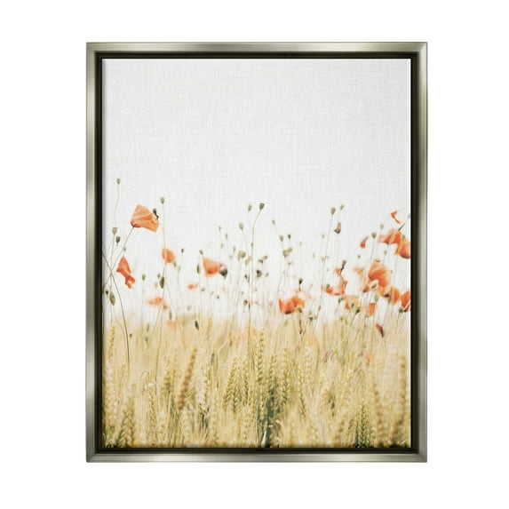Stupell Industries Rural Poppy Meadow Botanical & Floral Photography Gray Floater Framed Canvas Art Print Wall Art, 25 x 31