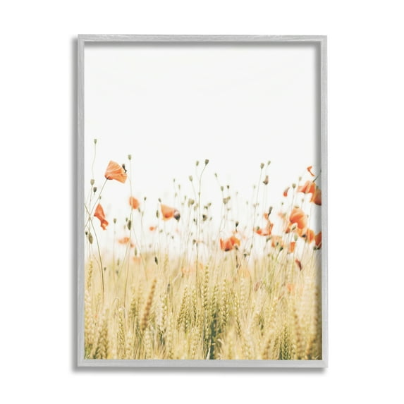 Stupell Industries Rural Poppy Meadow Botanical & Floral Photography Gray Framed Art Print Wall Art, 16 x 20