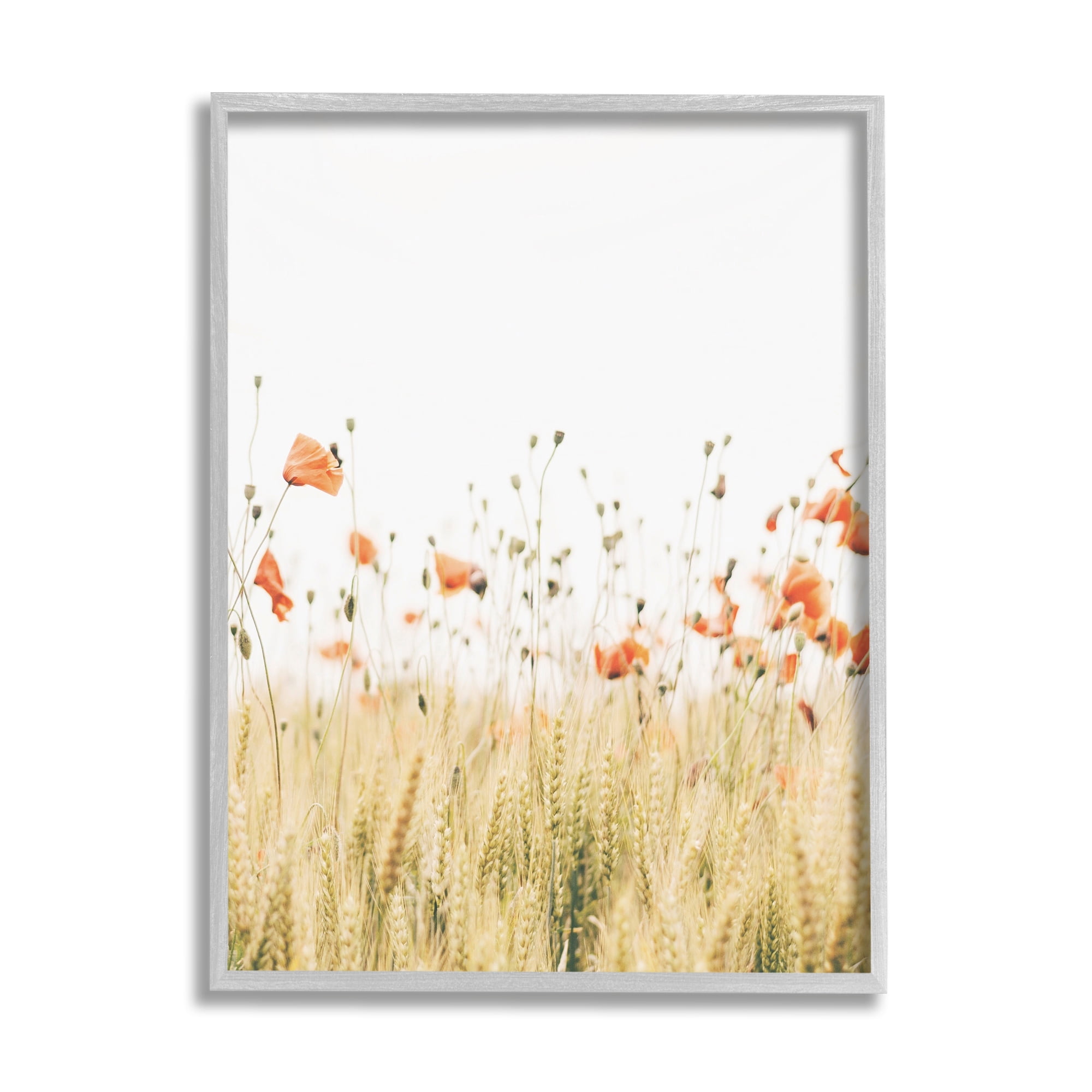 Stupell Industries Rural Poppy Meadow Botanical & Floral Photography Gray Framed Art Print Wall Art, 24 x 30