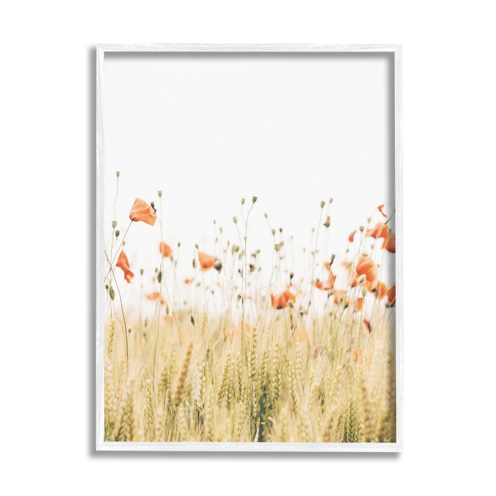 Stupell Industries Rural Poppy Meadow Botanical & Floral Photography White Framed Art Print Wall Art, 11 x 14