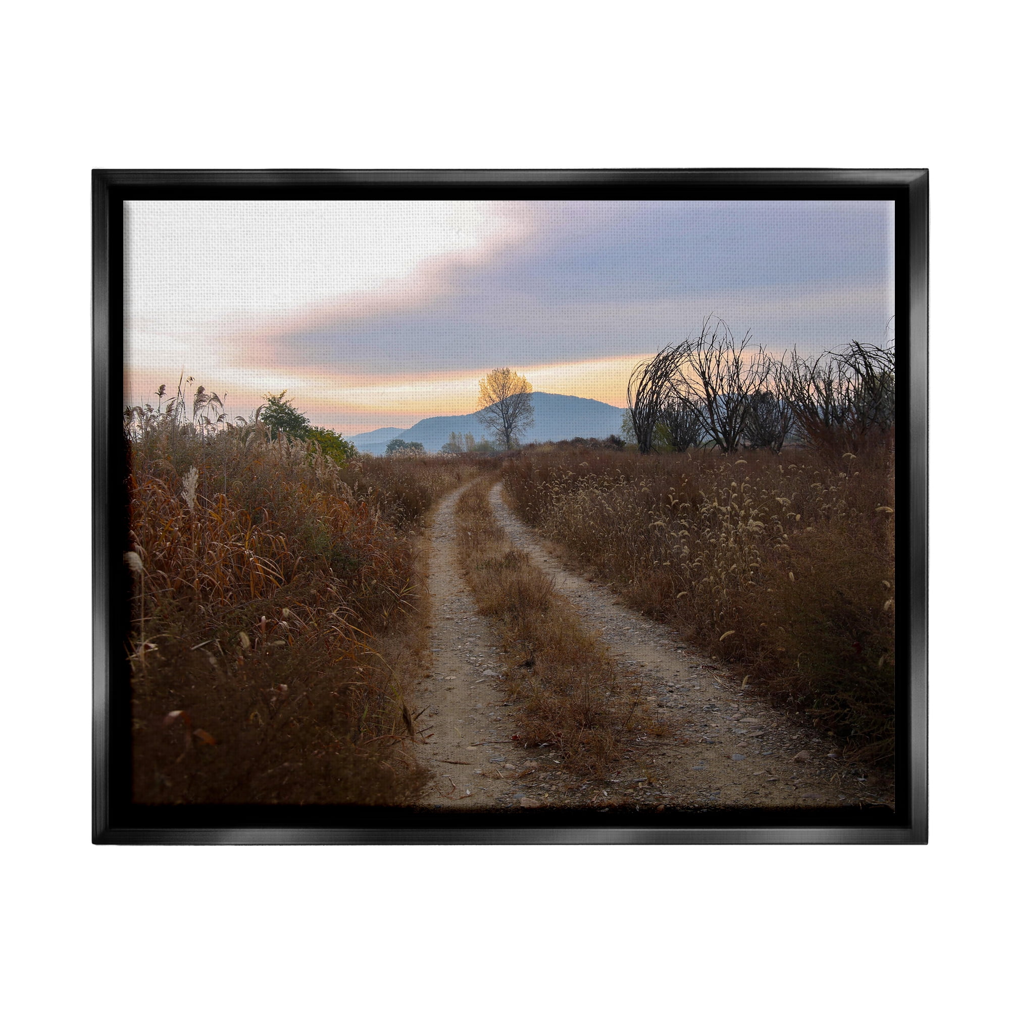 Stupell Industries Rural Trail Landscape Nature Photography Black Floater Framed Art Print Wall Art, 31 x 25