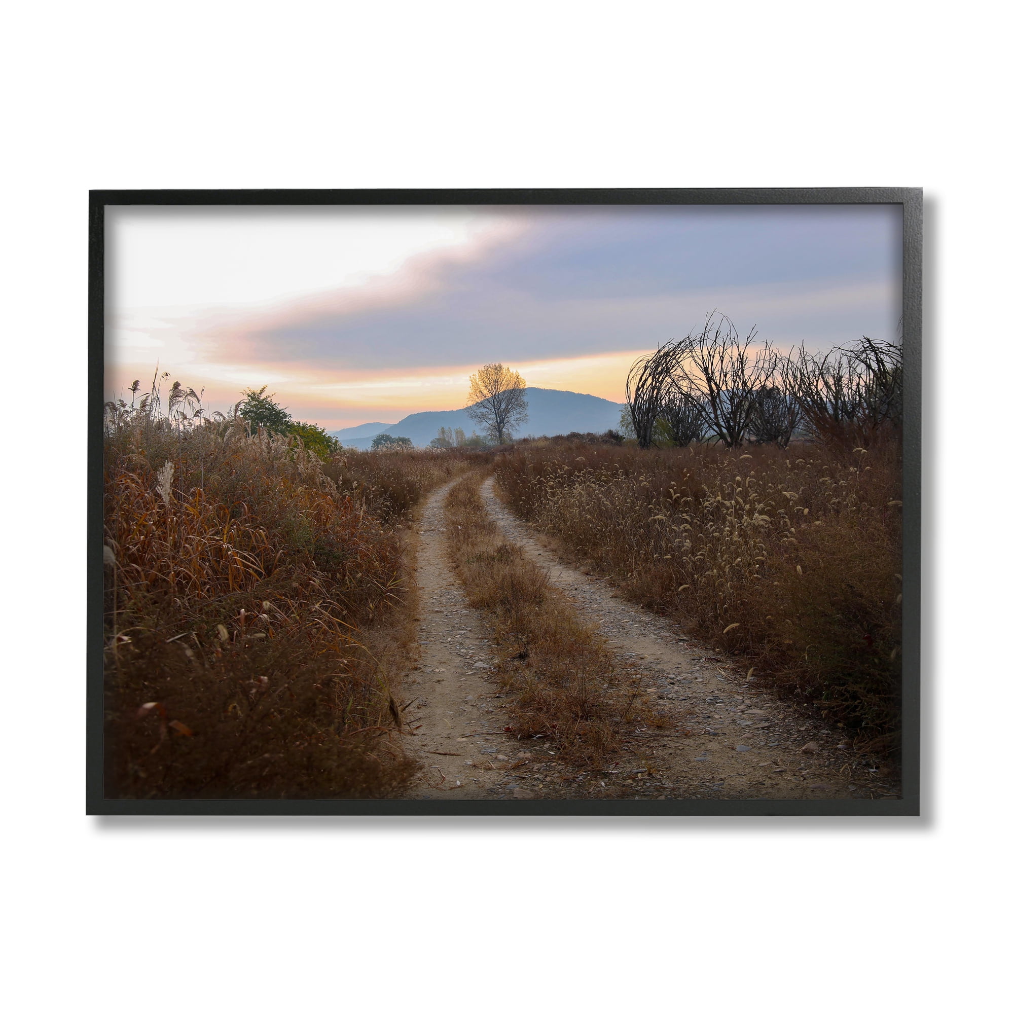 Stupell Industries Rural Trail Landscape Nature Photography Black Framed Art Print Wall Art, 14 x 11