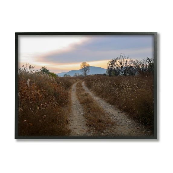 Stupell Industries Rural Trail Landscape Nature Photography Black Framed Art Print Wall Art, 30 x 24