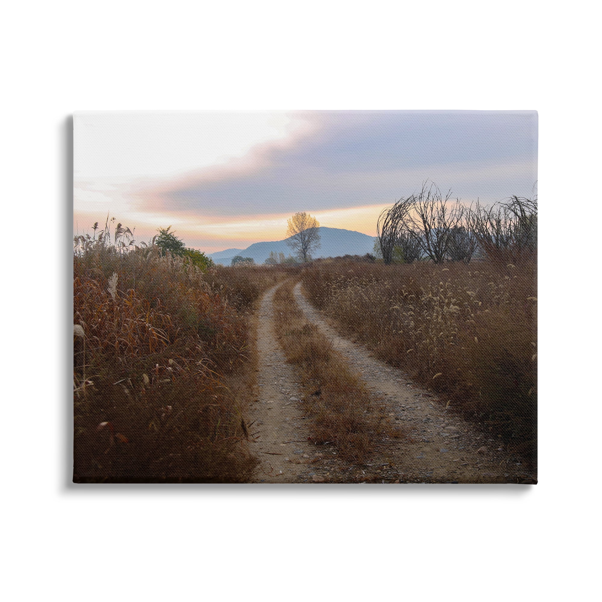 Stupell Industries Rural Trail Landscape Nature Photography Gallery Wrapped Canvas Print Wall Art, 48 x 36