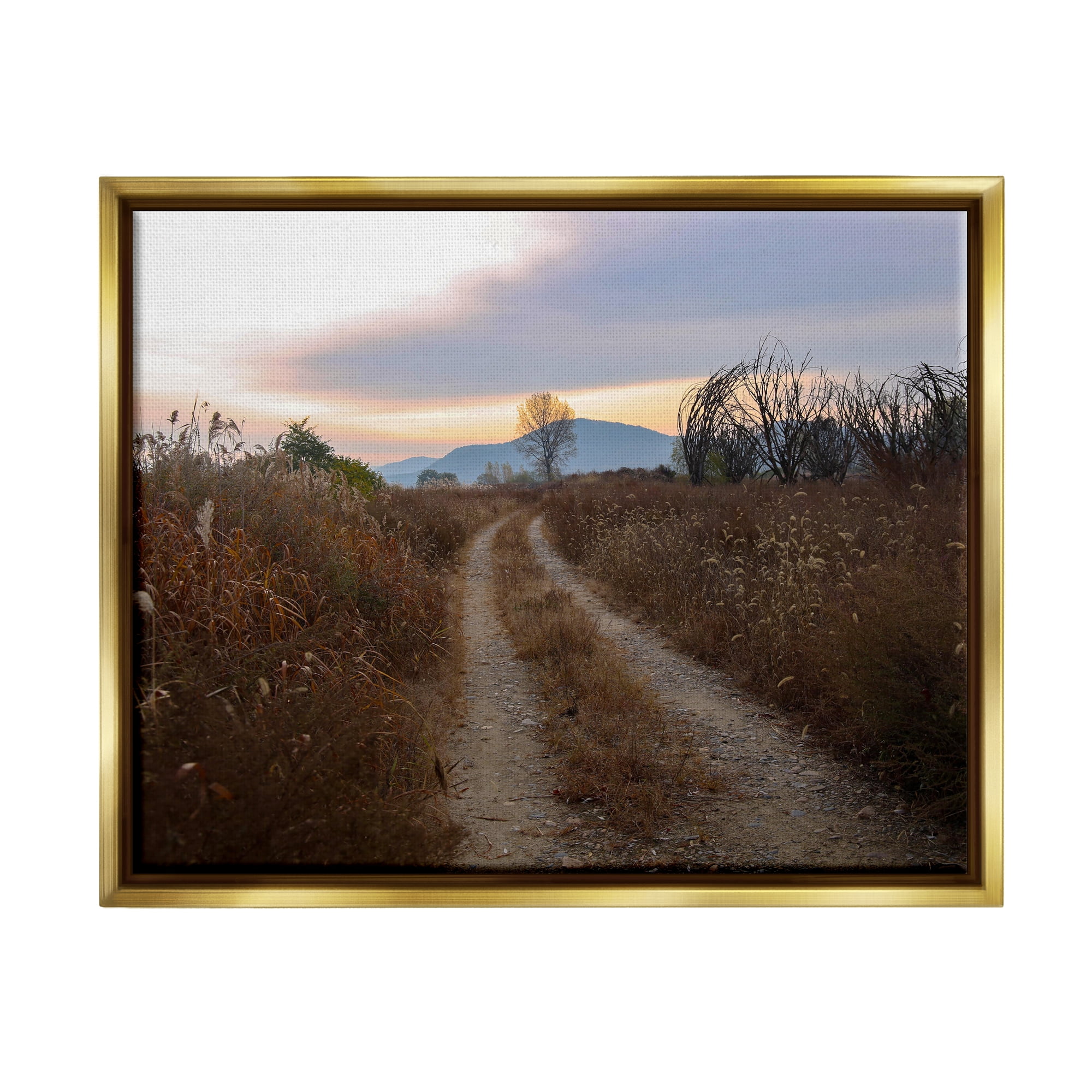 Stupell Industries Rural Trail Landscape Nature Photography Gold Floater Framed Art Print Wall Art, 21 x 17