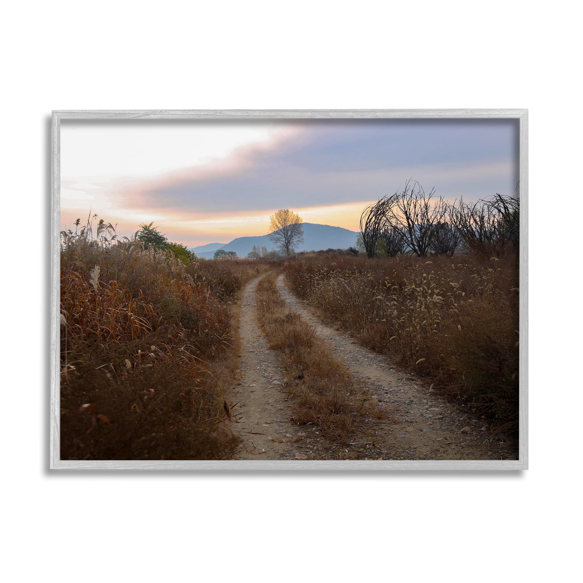 Stupell Industries Rural Trail Landscape Nature Photography Gray Framed Art Print Wall Art, 30 x 24