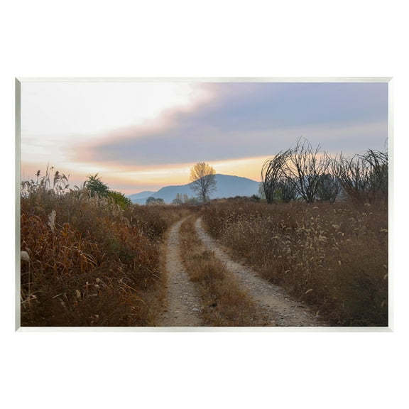 Stupell Industries Rural Trail Landscape Nature Photography Unframed Art Print Wall Art, 15 x 10