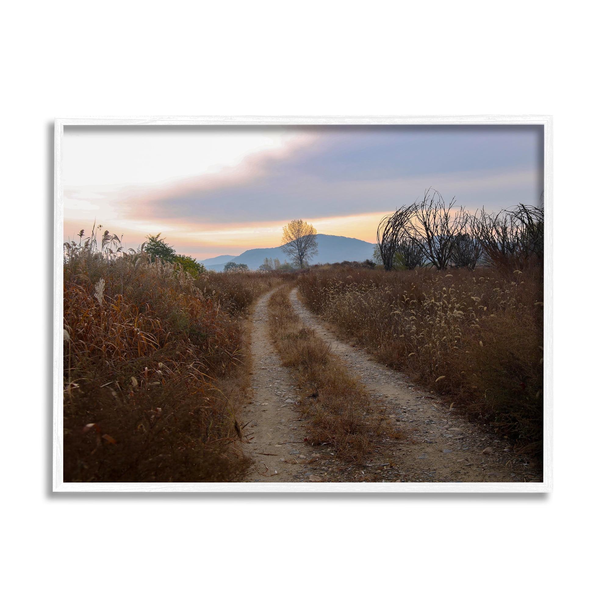Stupell Industries Rural Trail Landscape Nature Photography White Framed Art Print Wall Art, 20 x 16