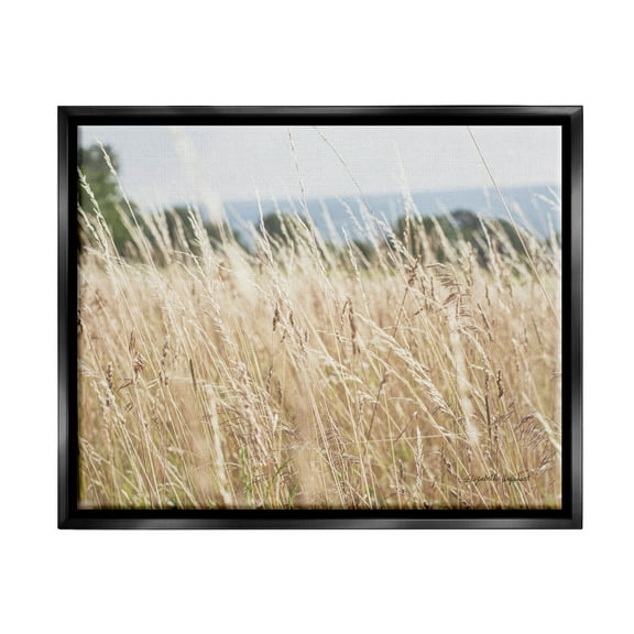 Stupell Industries Rural Wheat Field Spring Breeze Photograph Jet Black Floating Framed Canvas Print Wall Art, Design by Elizabeth Urquhart