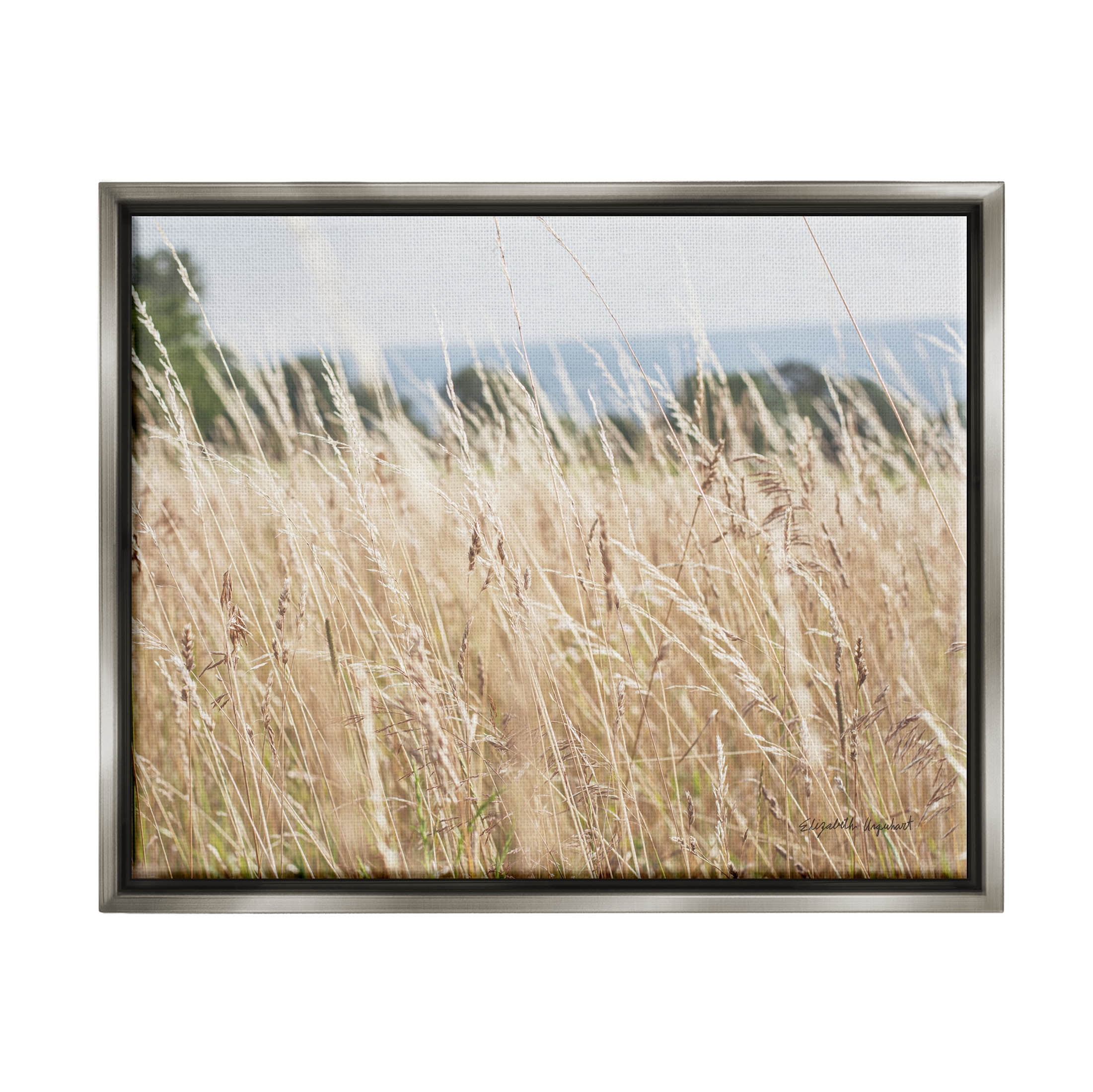 Stupell Industries Rural Wheat Field Spring Breeze Photograph Luster Gray Floating Framed Canvas Print Wall Art, Design by Elizabeth Urquhart