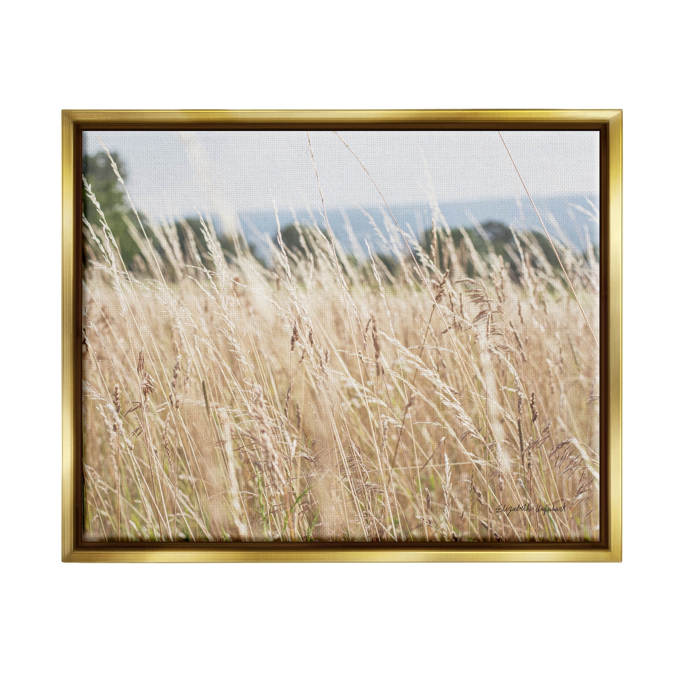 Stupell Industries Rural Wheat Field Spring Breeze Photograph Metallic Gold Floating Framed Canvas Print Wall Art, Design by Elizabeth Urquhart