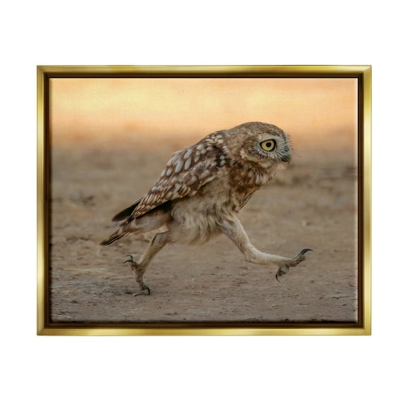 Stupell Industries Rushing Little Owl Animals & Insects Photography Gold Floater Framed Canvas Art Print Wall Art, 21 x 17
