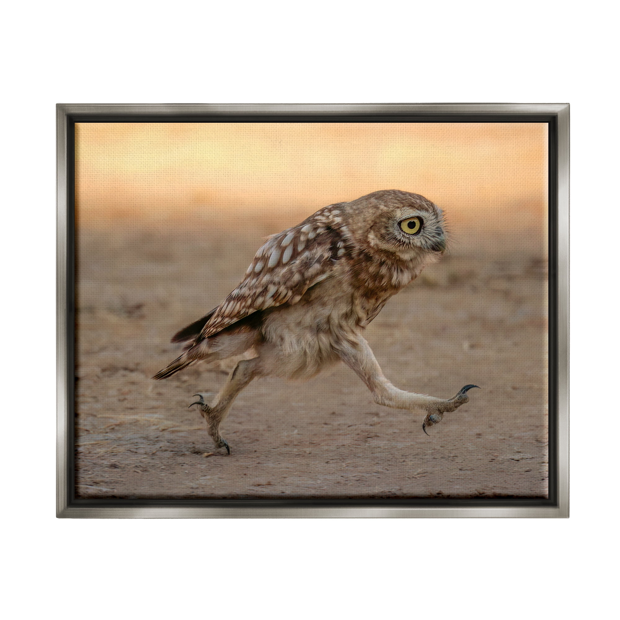 Stupell Industries Rushing Little Owl Animals & Insects Photography Gray Floater Framed Canvas Art Print Wall Art, 21 x 17