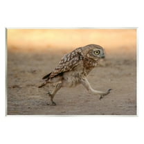 Stupell Industries Rushing Little Owl Animals & Insects Photography Unframed Art Print Wall Art, 15 x 10