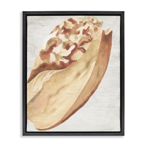 Stupell Industries Coastal Rustic Beige Shell Black Floating Frame Canvas Art, 17 x 21, by June Erica Vess