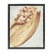 Stupell Industries Rustic Beige Shell Nautical & Beach Painting Black Floater Framed Canvas Art Print Wall Art, 17 x 21
