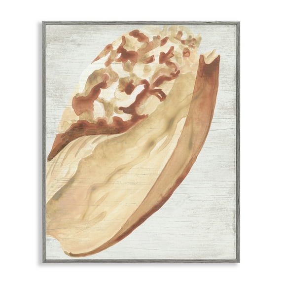 Stupell Industries Rustic Beige Shell Nautical & Beach Painting Gray Framed Art Print Wall Art, 11 x 14