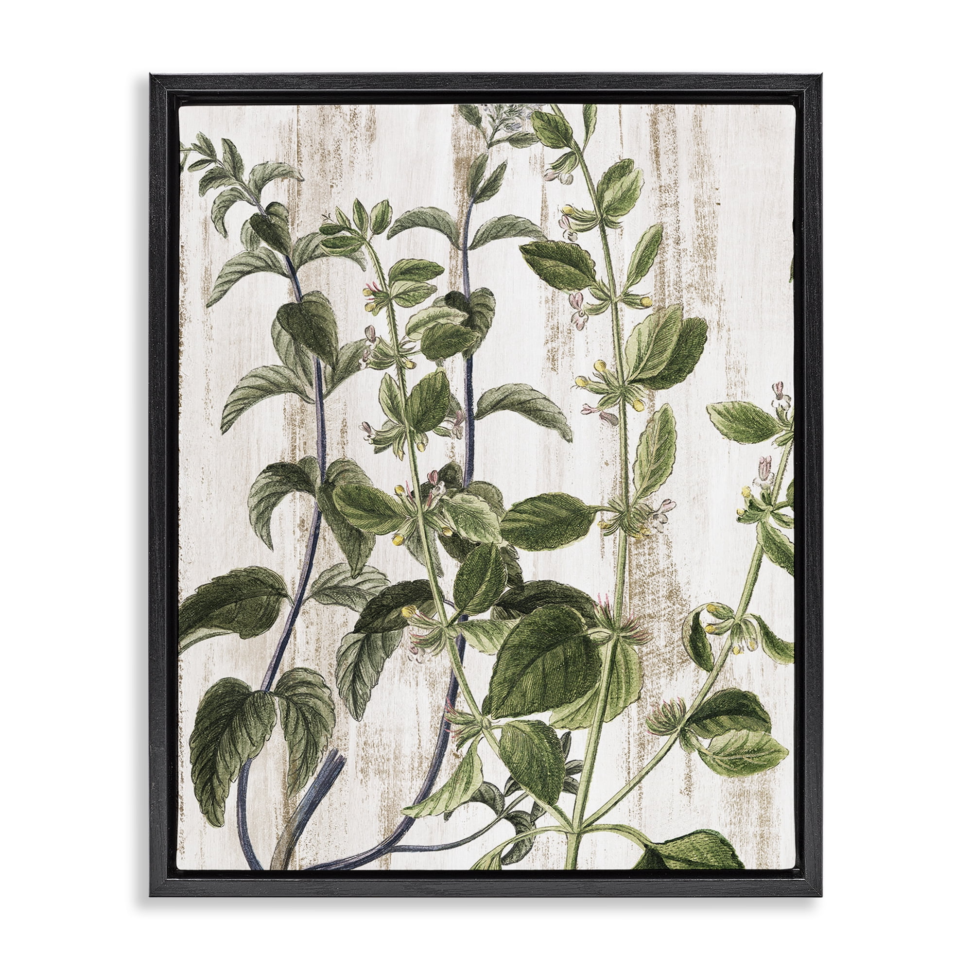 Stupell Industries Rustic Botanical Vines Botanical & Floral Painting Black Floater Framed Art Print Wall Art, 17 x 21