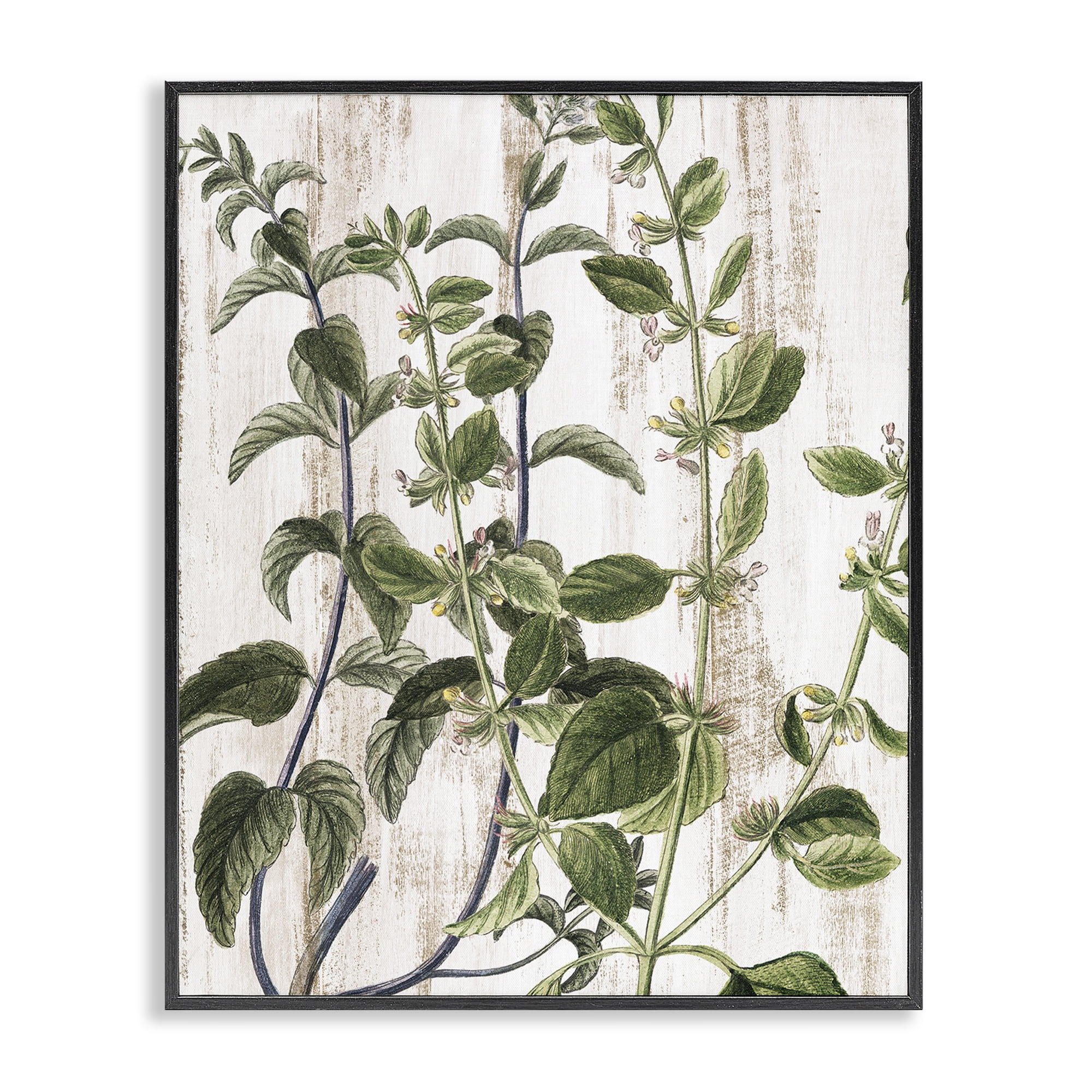 Stupell Industries Rustic Botanical Vines Botanical & Floral Painting Black Framed Art Print Wall Art, 16 x 20