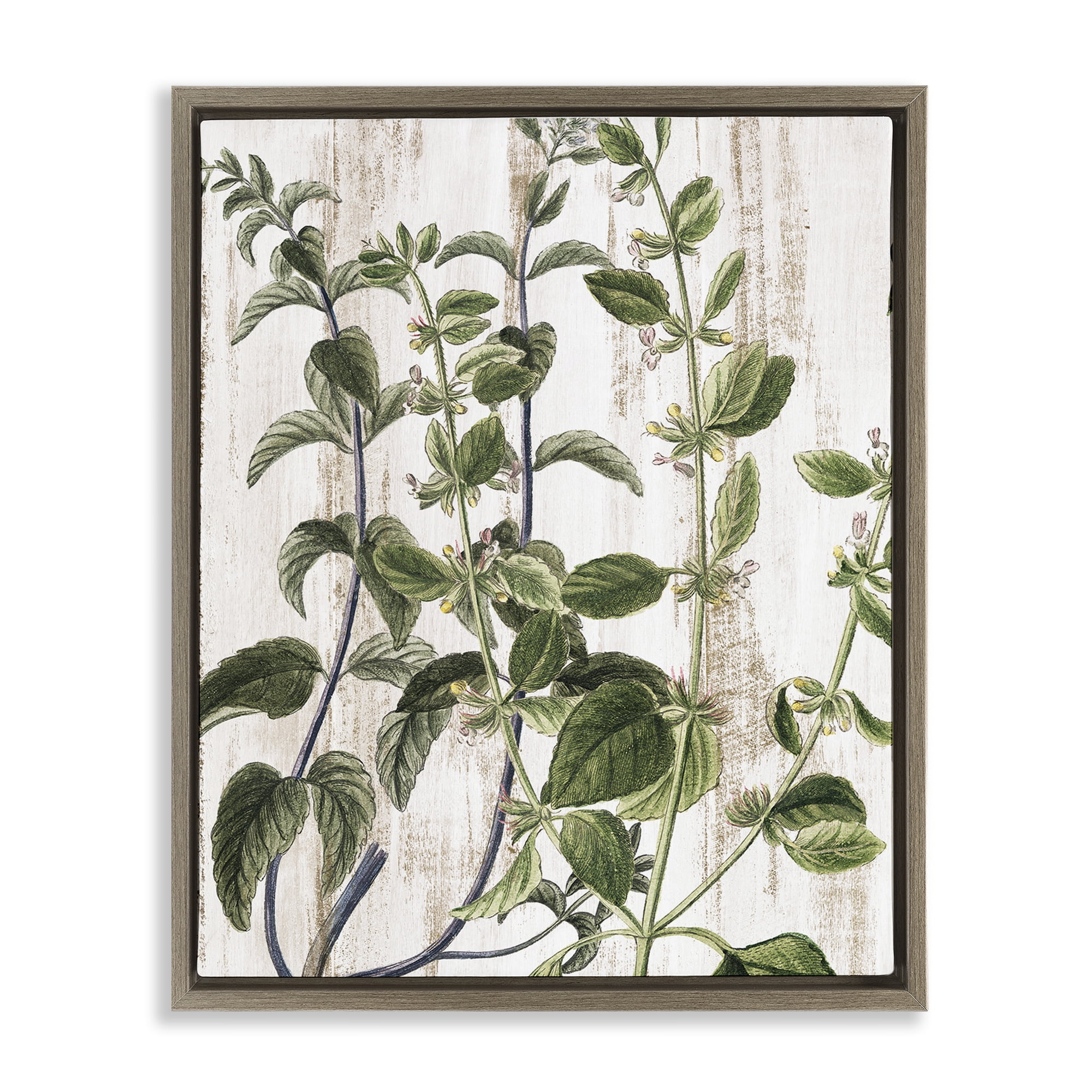 Stupell Industries Rustic Botanical Vines Botanical & Floral Painting Brown Floater Framed Art Print Wall Art, 25 x 31