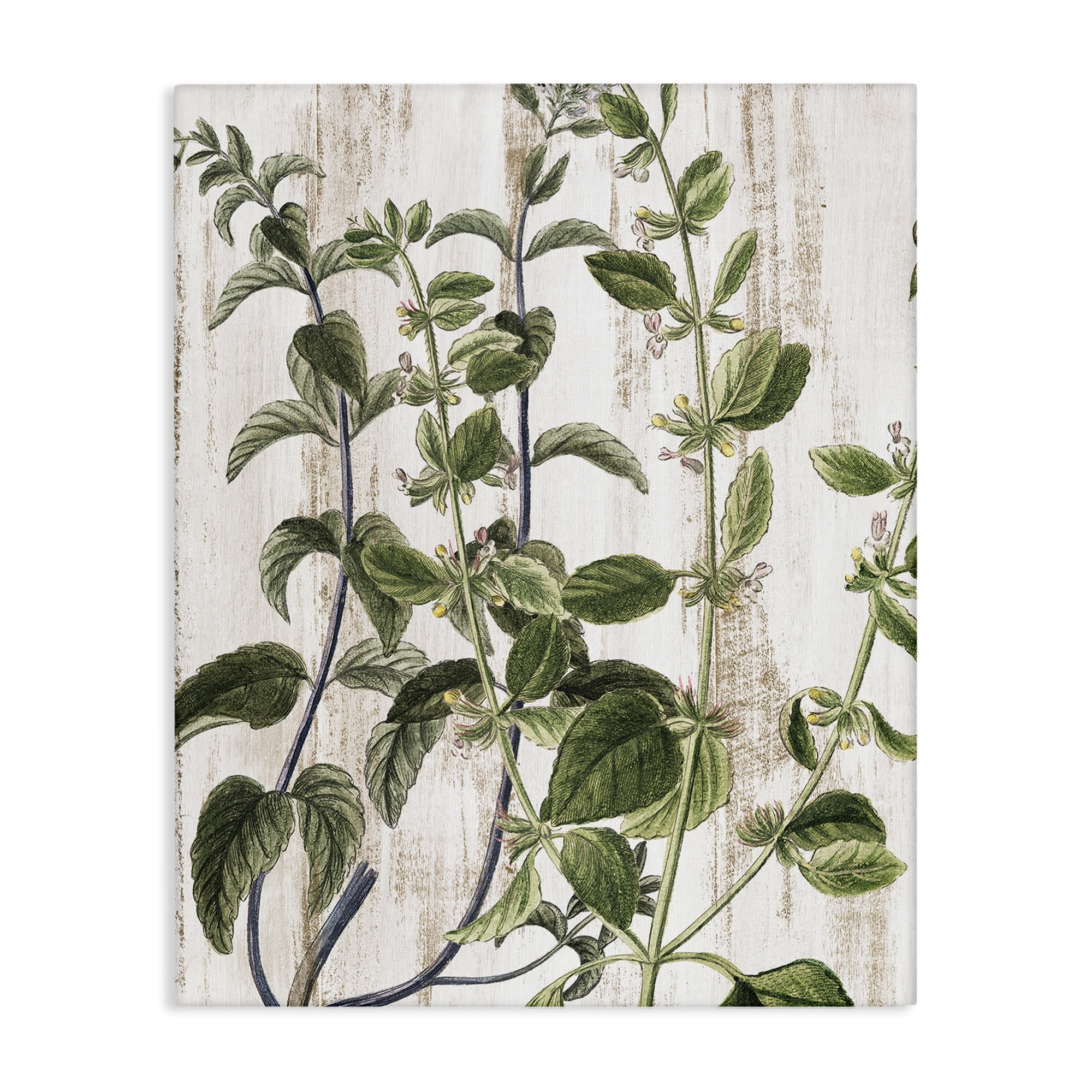 Rustic Botanical Vines Green and Beige Canvas Wall Art