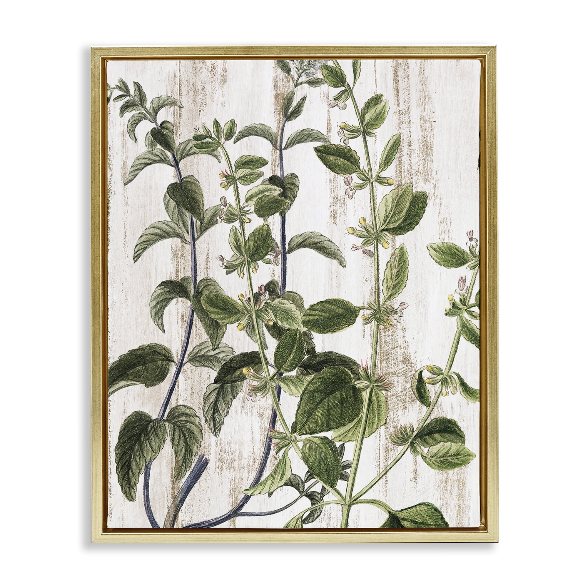 Stupell Industries Rustic Botanical Vines Botanical & Floral Painting Gold Floater Framed Art Print Wall Art, 25 x 31